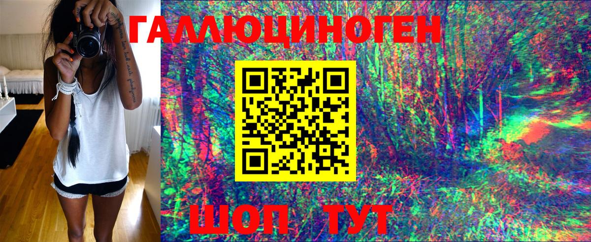Галлюциногенные грибы мухоморы Лесной