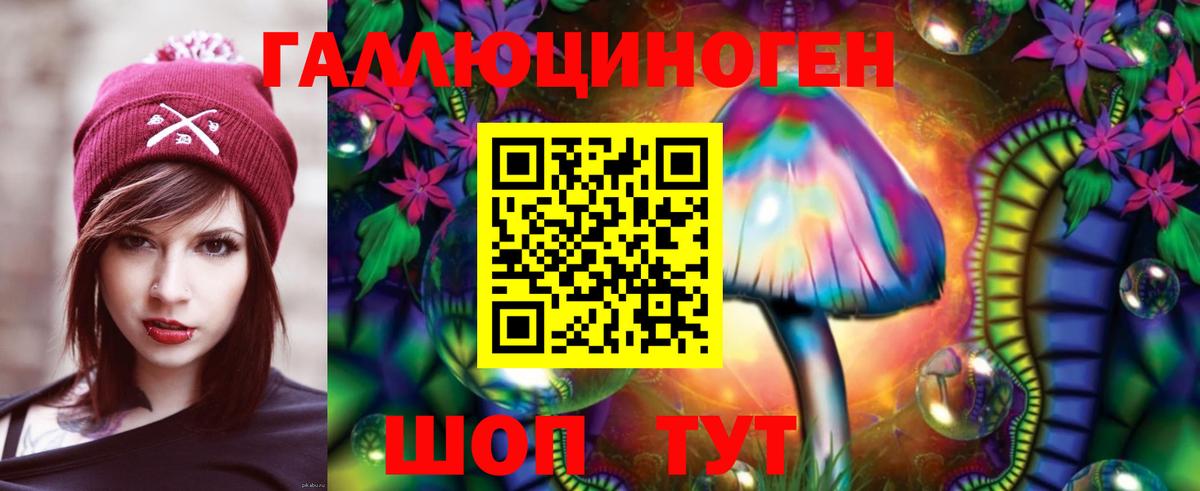 Лесной  Галлюциногенные грибы MAGIC MUSHROOMS  Вход с VPN 